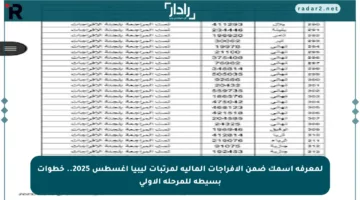 لمعرفة اسمك ضمن الإفراجات المالية لمرتبات ليبيا أغسطس 2025.. خطوات بسيطة للمرحلة الأولى
